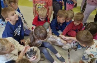 571223377_1336057814975272_4451164680665080396_n